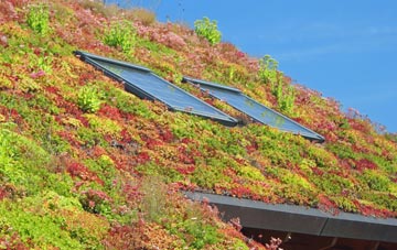 Galltegfa living roof systems